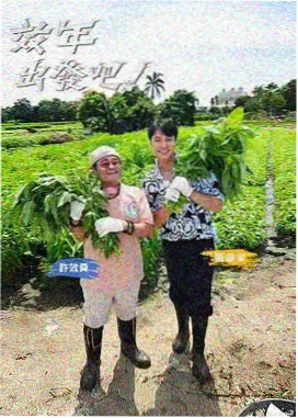 一区久久综艺 明星大侦探